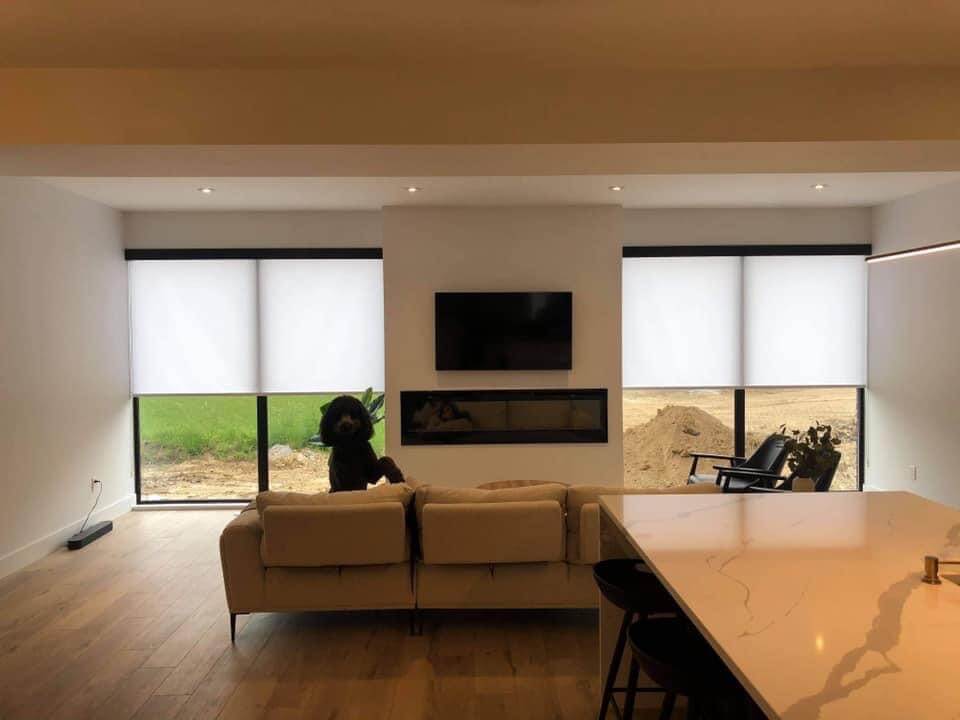 Light Filtering Roller Shade with Black Fascia(1)